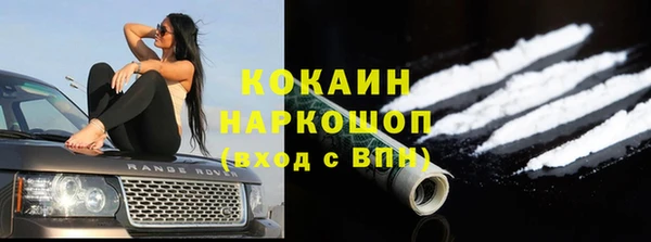 гидра Киренск