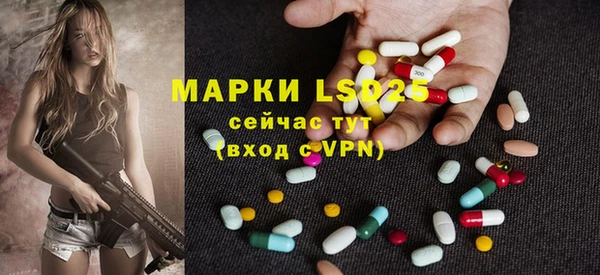 гидра Киренск