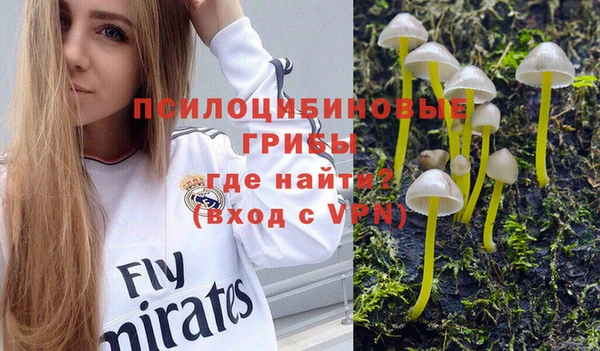 гидра Киренск