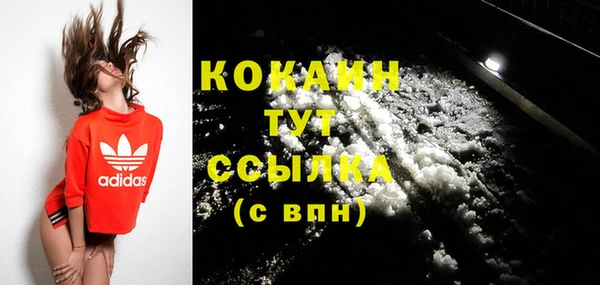 гидра Киренск