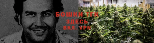ALPHA-PVP Киреевск