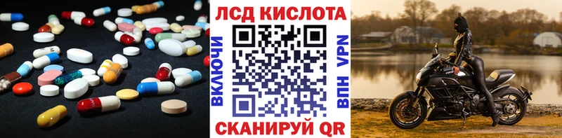 где купить наркоту  Новотитаровская  ЛСД экстази кислота 
