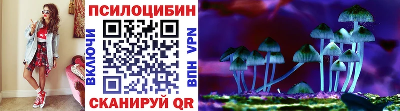 Псилоцибиновые грибы GOLDEN TEACHER  где купить наркоту  Новотитаровская 